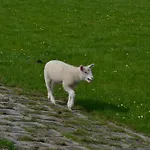 Kuestenkind * Butjadingen