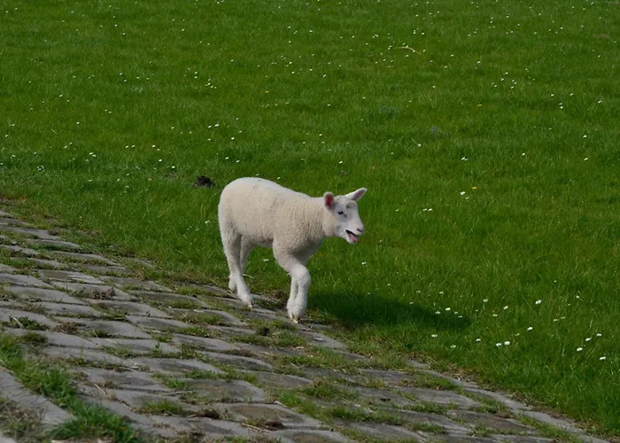 Kuestenkind * Butjadingen